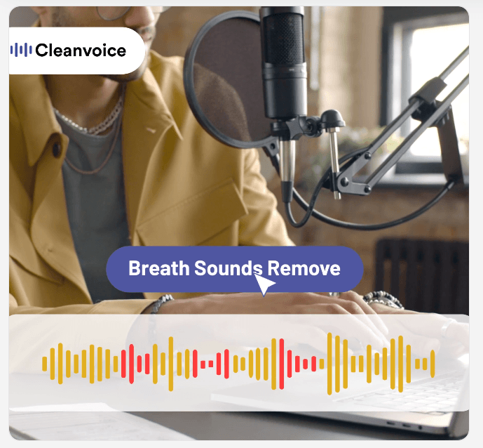 CleanVoice breath sound remover visual