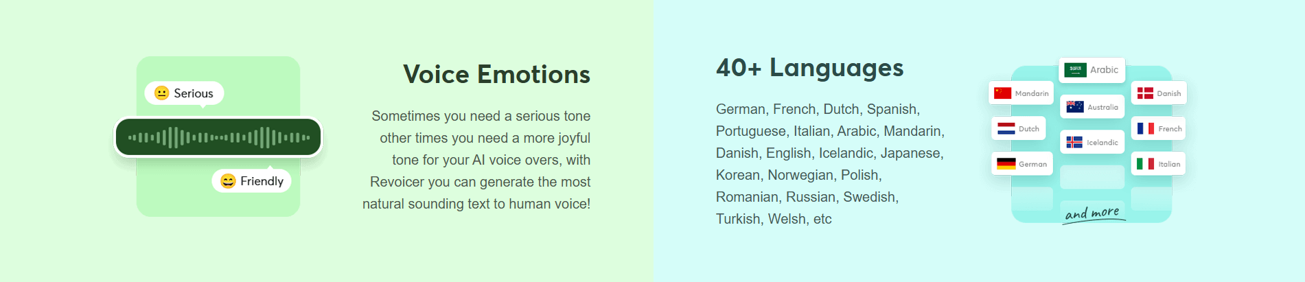 Revoicer Feature Overview 2