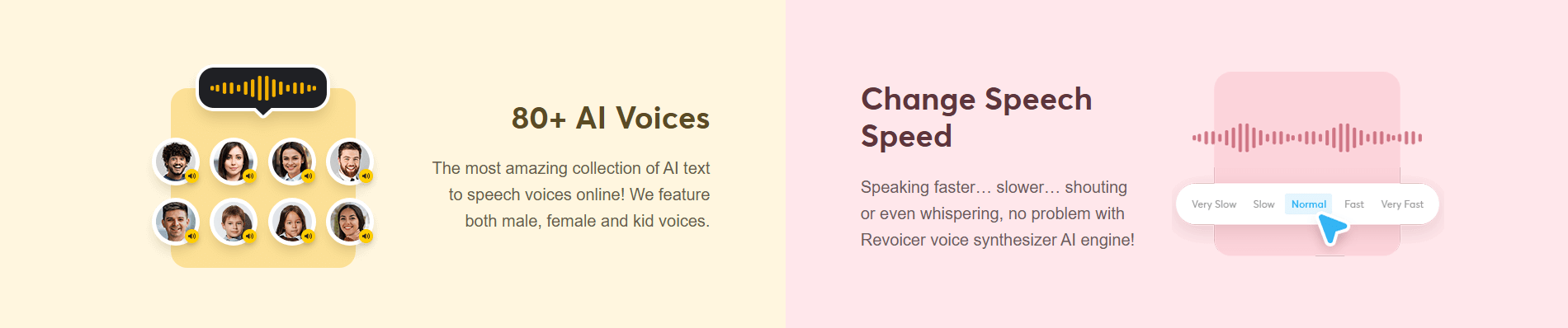 Revoicer Feature Overview 1