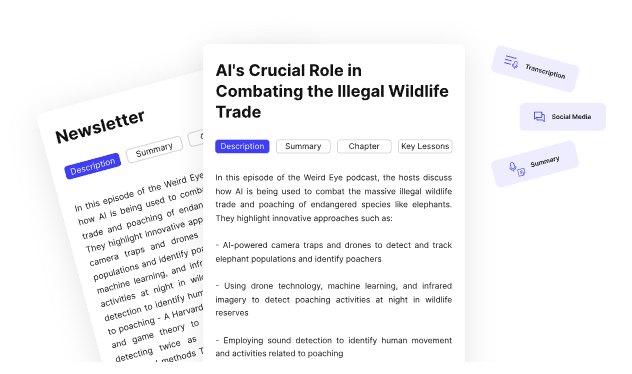 CleanVoice podcast summary export visual