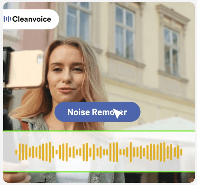 CleanVoice noise remover feature visual