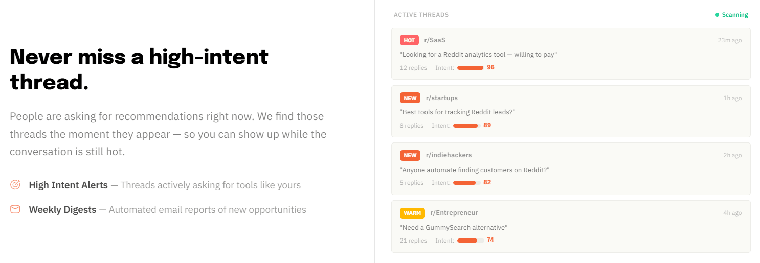 Reddibee Active Opportunities
