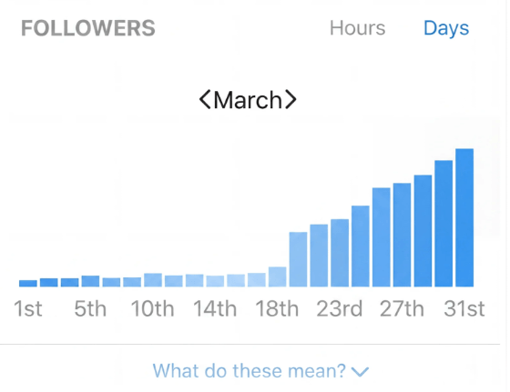 FeedHive Follower Growth Chart