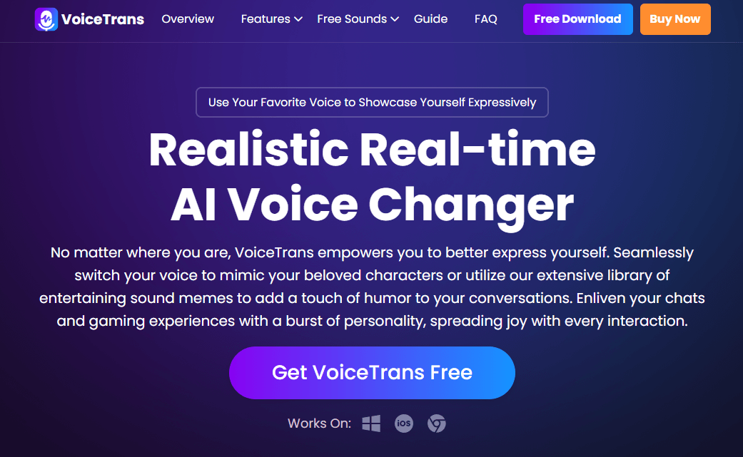 FineShare VoiceTrans homepage hero section
