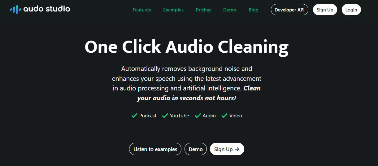 Audo Studio homepage hero section