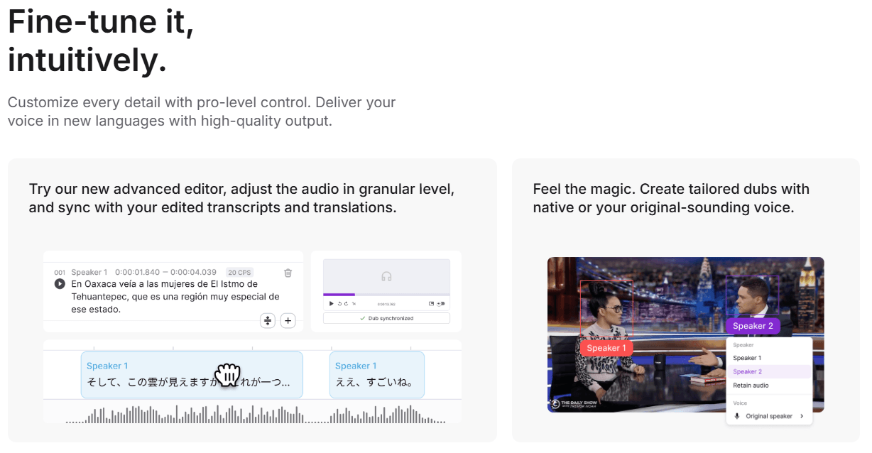 Speechlab Dubbing Customization Details